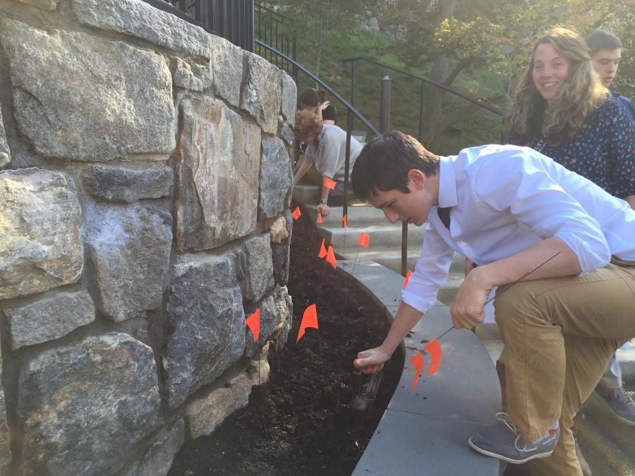 Senior Eli Pinkus plants a Red Emperor Tulip bulb with the guidance of his Biology teacher, Ms. Johnson.