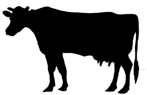 Digesting the Carnism Talk