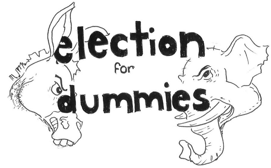 Election for Dummies