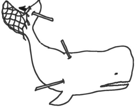 After a productive discussion, Moby Dick is back out to sea