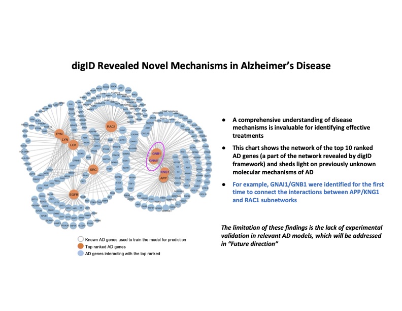 This is one of Daniels slides for his JSHS presentation about creating a machine learning framework to identify candidate drug targets for Alzheimer’s. This specific slide deals with the protein-protein interaction network of the top ten ranked AD-associated genes, found by his computation framework digID.