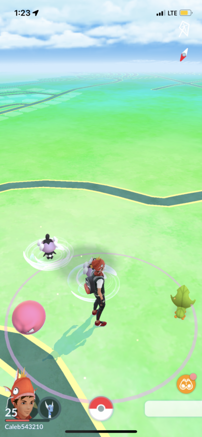 Pokemon Go user interface. Pokemon pop up on your screen and by clicking on them you get an opportunity to catch them to add to your collection.