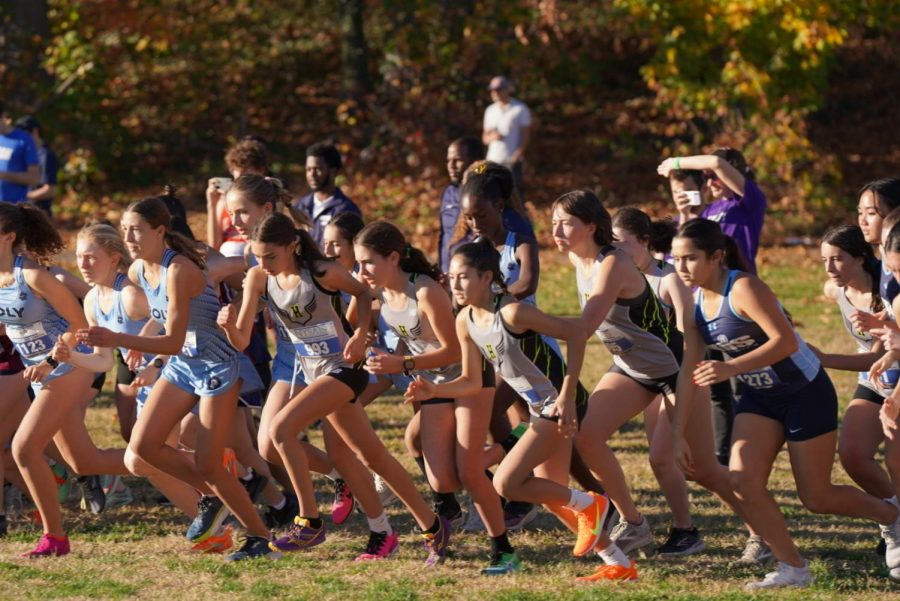 Hackley+Girl%E2%80%99s+Cross+Country+takes+off+for+their+5k+race+at+Van+Cortlandt+park.+The+girls+competed+against+over+a+dozen+other+schools+and+hundreds+of+runners+in+their+final+NYSAIS+race.+Despite+the+unusually+hot+day+and+hilly+course%2C+the+team+performed+well+with+8th+graders+Emma+Curran+and+Caitlin+Morrow+placing+in+the+top+25.