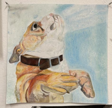 This is a piece of Caties artwork in progress for her portfolio. This photo really shows the different colors and lifelike image of her dog.