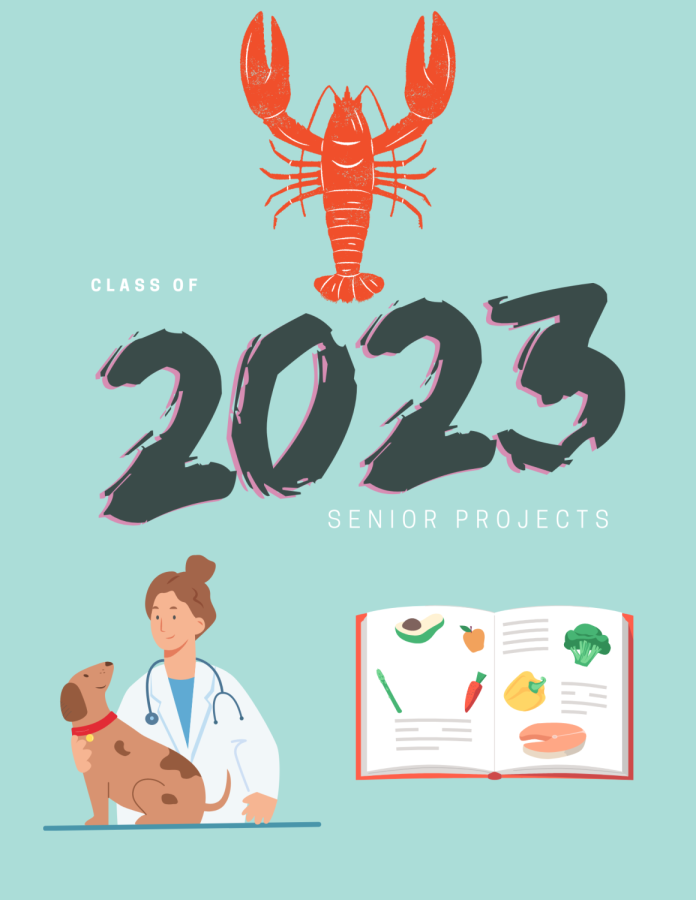 Senior Projects 2023
