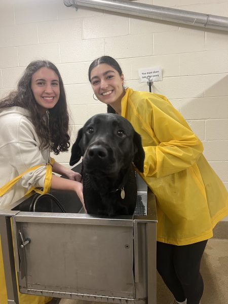 Giulia Sorvillo and Donia Karandikar help wash the dogs at the Yorktown Guiding Eyes for the Blind facility. After they washed the dogs, they gave them treats.