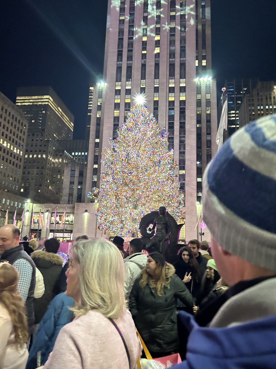 The Rockefeller Tree is lit up and enjoyed by many in the city. It never fails to bring in the holiday spirit!