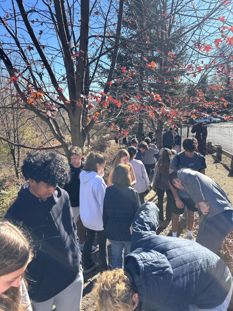 Students gather around their designated area with their advisories. Along the perimeter of the orchard, students and teachers worked together to plant their bulbs which will bloom in the coming months.