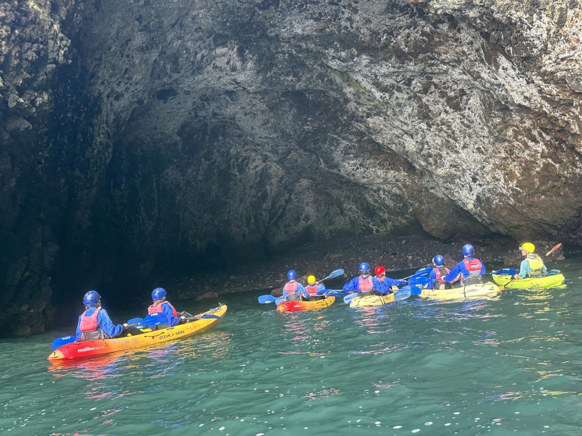 The National Parks Class getting ready to kayak through different caves in the Channel Islands. They got to see lots of animals and plants they learned about throughout the year and admire the intricate caves.