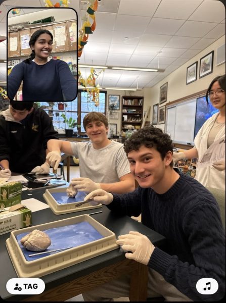 Junior Loukas Skipitaris and Daniel Erlich capture a BeReal during a biology dissection, turning an ordinary lab into a shared, unfiltered experience.